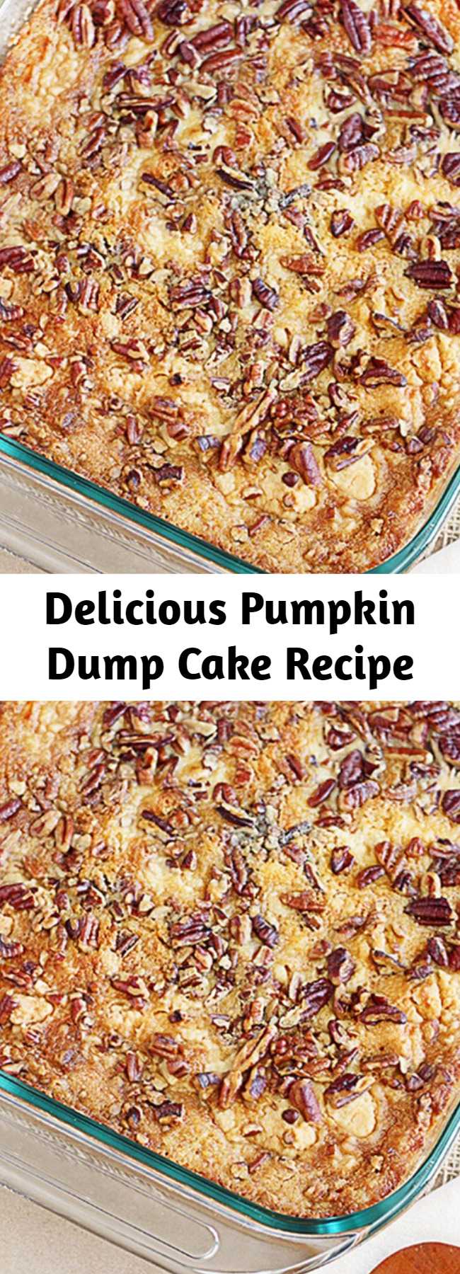 Delicious Pumpkin Dump Cake Recipe - This recipe is a sure fire win for all of you pumpkin lovers! Yellow cake mix, pumpkin, butter and pecans are the ingredients that make this Pumpkin Dump Cake a favorite — and ready under an hour! The name is exactly how the recipe comes together — by ‘dumping’ the ingredients into a 13×9 cake pan. After baking, add a dollop of whip cream and enjoy this heavenly delight!