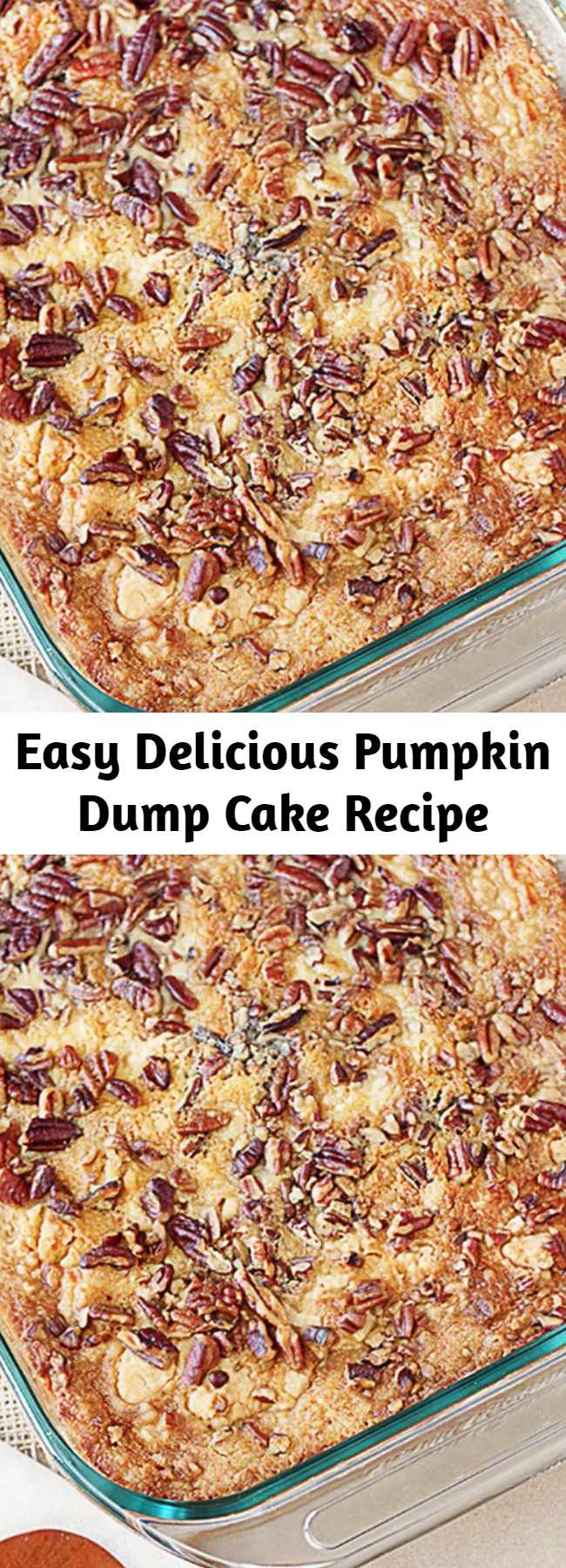 Easy Delicious Pumpkin Dump Cake Recipe - This recipe is a sure fire win for all of you pumpkin lovers! Yellow cake mix, pumpkin, butter and pecans are the ingredients that make this Pumpkin Dump Cake a favorite — and ready under an hour! The name is exactly how the recipe comes together — by ‘dumping’ the ingredients into a 13×9 cake pan. After baking, add a dollop of whip cream and enjoy this heavenly delight!